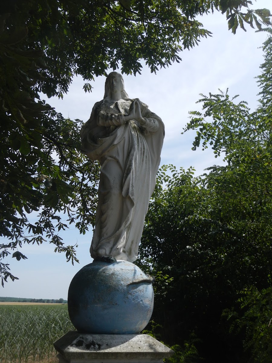 Fejesugró öből
