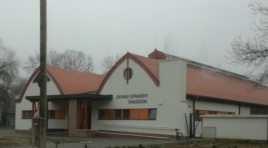 Enyingi Cifrakerti Tanuszoda
